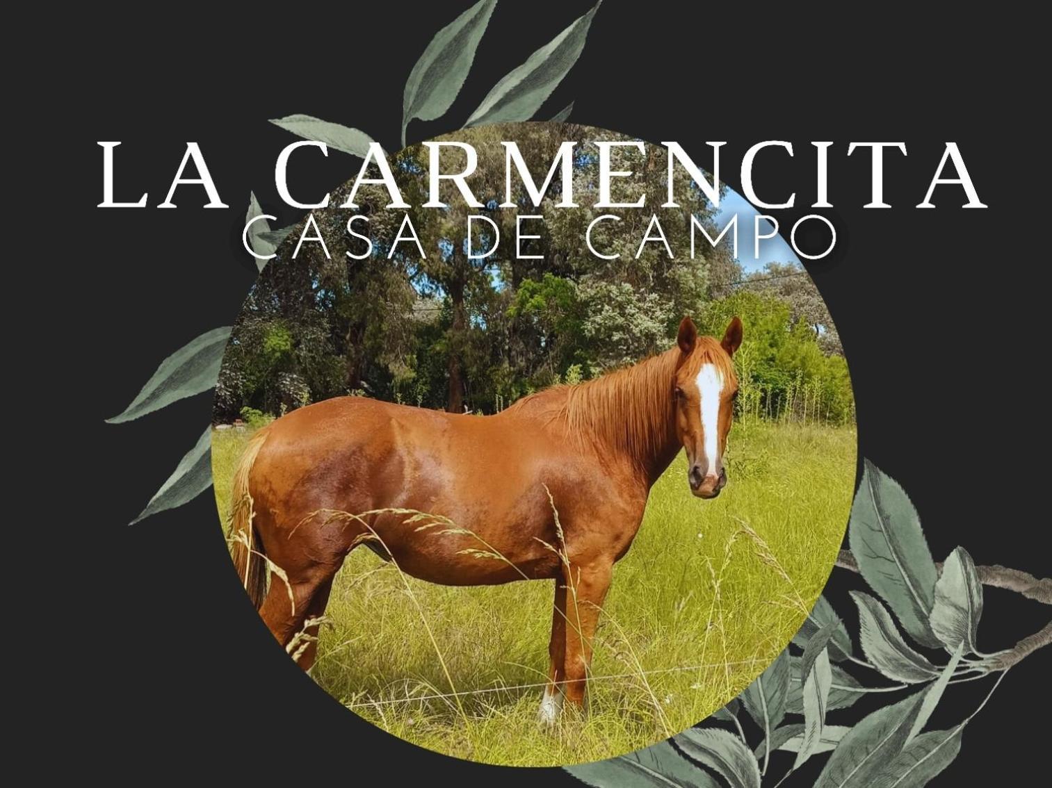 La Carmencita Casa De Campo, Manzanares, Pilar *